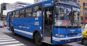 quito-buses