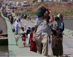 yizades_desplazamientos