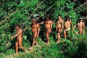 huaoranis1