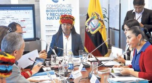 La Comisión de Biodiversidad de la Asamblea Nacional es presidida por Carlos Viteri Gualinga. Foto: Cortesía