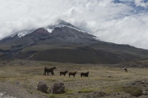 ACT  MONITOREO  DEL VOLCAN COTOPAXI  E INSTALACIONES DE EQUIPOS / FOT